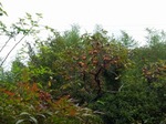 20121029_121958.jpg