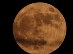 DSCN0775.jpg