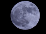 DSCN0776.jpg