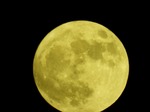 DSCN0777.jpg